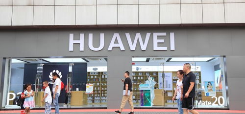 山东政采网上商城怎么加入