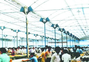 从临沂商城看改革开放40年 虽是外地人已成新临商