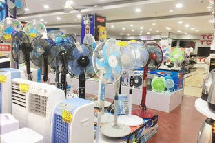 又要剁手了 石碣一家转型升级的商场被我爆出来了