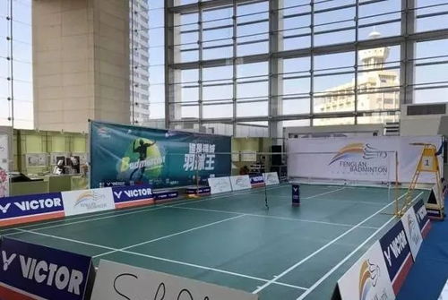 2018年左邻右里 莱克杯 商场羽毛球混合团体争霸赛开始报名啦