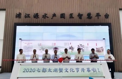 太湖蟹抢“鲜”上市啦!