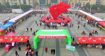 商城县第二届电商农产品进城展销会成功举办